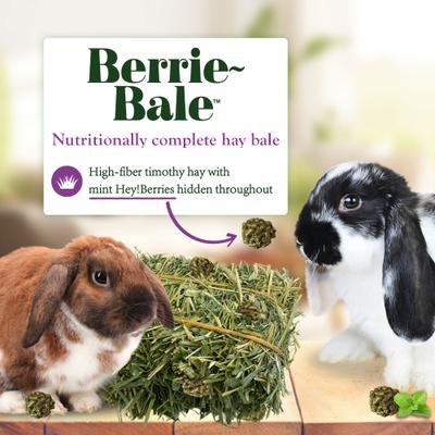 Show full view: Lafeber Mint Berrie-Bale Rabbit Food, 1.25-lb bag slide 3 of 10