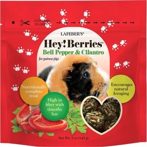 Lafeber Hey!Berries Bell Pepper & Cilantro Guinea Pig Treats, 5-oz bag