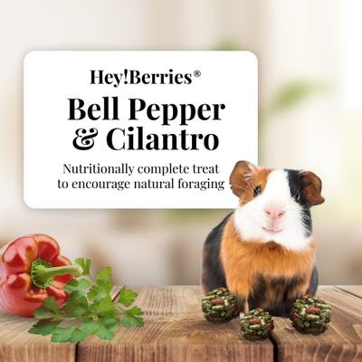 Show full view: Lafeber Hey!Berries Bell Pepper & Cilantro Guinea Pig Treats, 5-oz bag slide 3 of 10
