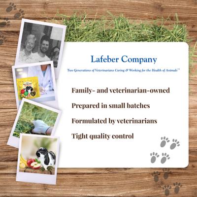 Show full view: Lafeber Hey!Berries Apple & Banana Flavored Rabbit Treats, 5-oz bag slide 8 of 10