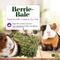 Show in main carousel: Lafeber Mint Berrie-Bale Guinea Pig Food, 1.25-lb bag slide 3 of 10