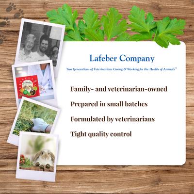 Show full view: Lafeber Hey!Berries Bell Pepper & Cilantro Rabbit Treats, 5-oz bag slide 8 of 10