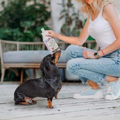 Show full view: Precious Tails Live. Love. Groom. All-In-1 Waterless Foam Dog & Cat Dry Shampoo, Lavender Mint Scented, 500-mL bottle slide 2 of 6