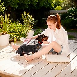 Precious Tails Live. Love. Groom. All-In-1 Waterless Foam Dog & Cat Dry Shampoo, Unscented, 500-mL bottle slide 2 of 7