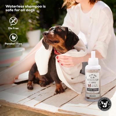 Show full view: Precious Tails Live. Love. Groom. All-In-1 Waterless Foam Dog & Cat Dry Shampoo, Unscented, 500-mL bottle slide 7 of 7