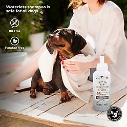 Precious Tails Live. Love. Groom. All-In-1 Waterless Foam Dog & Cat Dry Shampoo, Coconut Vanilla Scented, 500-mL bottle slide 2 of 6