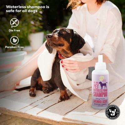 Show full view: Precious Tails 2-in-1 Calming Waterless Shampoo Dog Grooming Foam, Lavender Scented slide 6 of 6