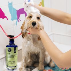 Precious Tails 2-in-1 Dog Shampoo & Conditioner, Cucumber Scented, 1000-mL bottle slide 2 of 8