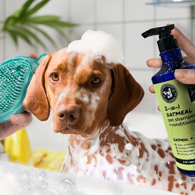 Show full view: Precious Tails 2-in-1 Dog Shampoo & Conditioner, Cucumber Scented, 1000-mL bottle slide 5 of 8