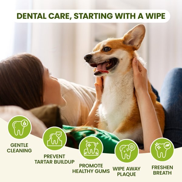 PawSono Dog & Cat Finger Dental Wipes, 50 count