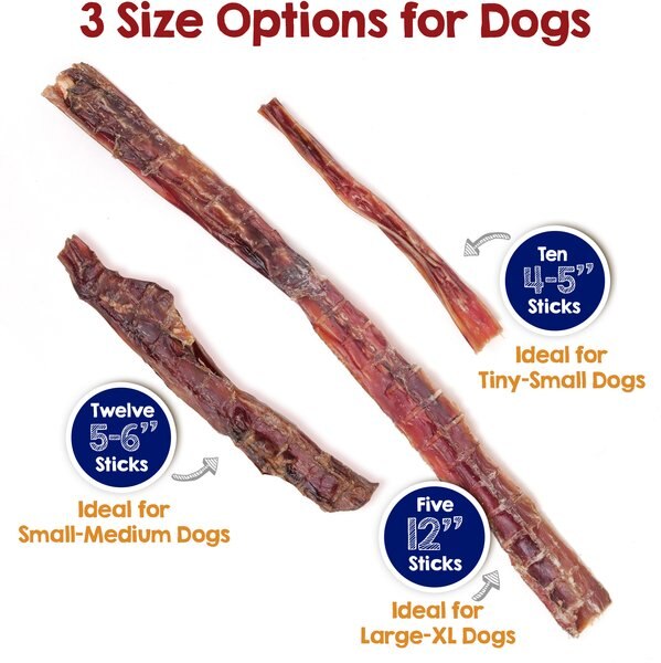 Riley's Steer 12-in Bully Sticks Dog Chews, 5 count