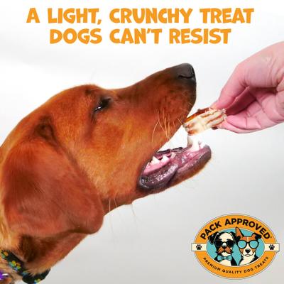 Show full view: Pack Approved Beef Trachea Smoke Ring Dog Chews, 10-oz pack slide 4 of 7