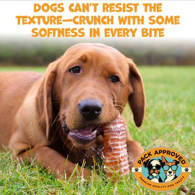 Show full view: Pack Approved 5 to 6-in Beef Trachea Roll Dog Chews, 4 count slide 4 of 7