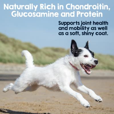 Show full view: Riley's Steer 5 to 6-in Bully Sticks Dog Chews, 12 count slide 4 of 8