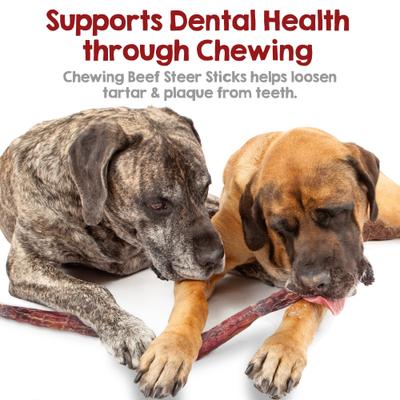 Show full view: Riley's Steer 12-in Bully Sticks Dog Chews, 5 count slide 6 of 8