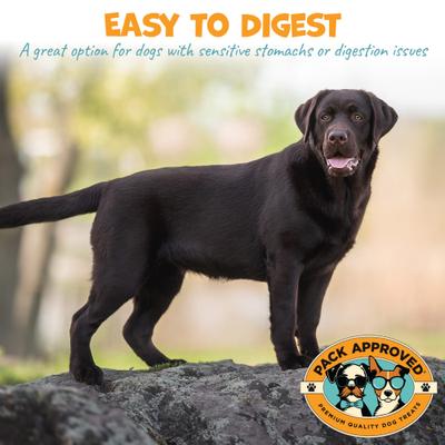 Show full view: Pack Approved Lamb Tripe Dehydrated Dog Treats, 10-oz pack slide 5 of 7