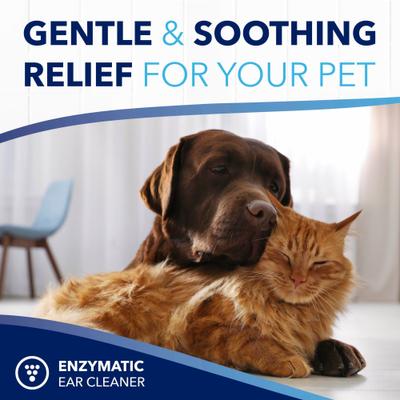 Show full view: TropiClean OxyMed Enzymatic Dog & Cat Ear Cleaner, 4-fl oz slide 8 of 11