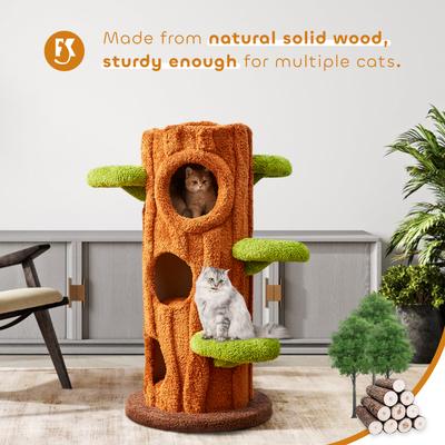Show full view: KZLAA Elizha 49-in Solid Wood Modern Cat Tree & Condo, Green slide 4 of 6