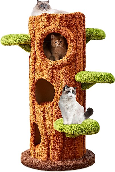 ◆sala tree◆ Out of Stock - KZLAA Elizha 49-in Solid Wood Modern Cat Tree
