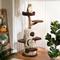 Show in main carousel: KZLAA 54.7-in Solid Wood Cat Tree & Condo, Brown slide 2 of 10