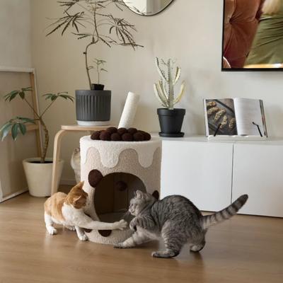 Show full view: Happy & Polly Boba Tea Cup Orthopedic Removable Cushion Cat Bed slide 4 of 12