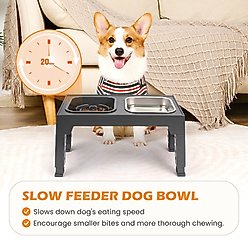 Heeyoo Elevated Dog Bowl Set, 2 bowls, 5-cup, Grey slide 2 of 7