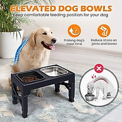Heeyoo Elevated Dog Bowl Set, 2 bowls, 5-cup, Black slide 2 of 7