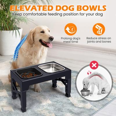 Show full view: Heeyoo Elevated Dog Bowl Set, 2 bowls, 5-cup, Black slide 4 of 8