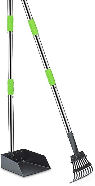 Show full view: Niubya Dog Stainless Steel Rake Pooper Scooper Set, Silver & Green slide 1 of 8