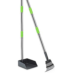 Niubya Dog Stainless Steel Rake Pooper Scooper Set, Silver & Green