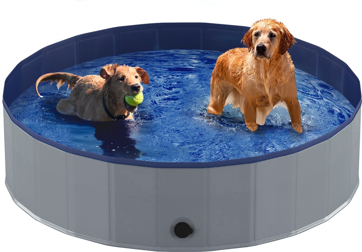 Infinity Pool Dog NIUBYA Collapsible Dog Swimming Pool, Grey, X-L - Chewy.com