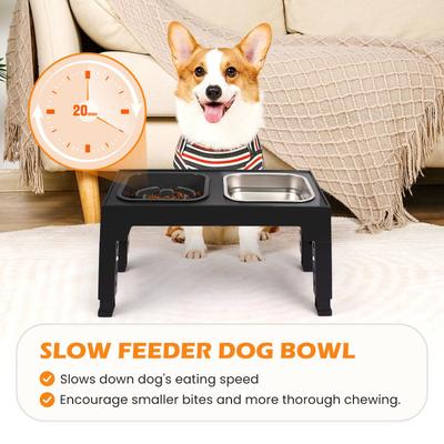 Show full view: Heeyoo Elevated Dog Bowl Set, 2 bowls, 5-cup, Black slide 3 of 8