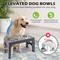 Show in main carousel: Heeyoo Elevated Dog Bowl Set, 3 bowls, 5-cup, Grey slide 4 of 9