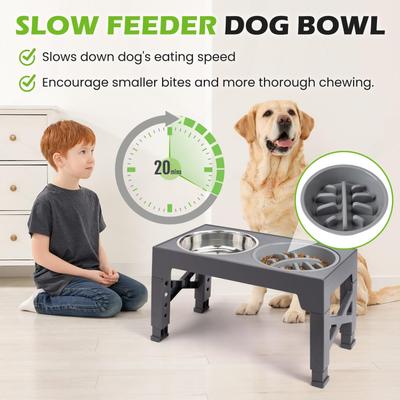 Show full view: Heeyoo Elevated Dog Bowl Set, 3 bowls, 5-cup, Grey slide 3 of 9