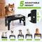 Show in main carousel: Heeyoo Elevated Dog Bowl Set, 3 bowls, 5-cup, Black slide 2 of 9
