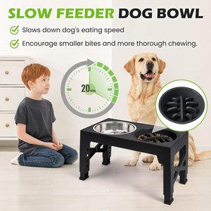 Heeyoo Elevated Dog Bowl Set, 3 bowls, 5-cup, Black