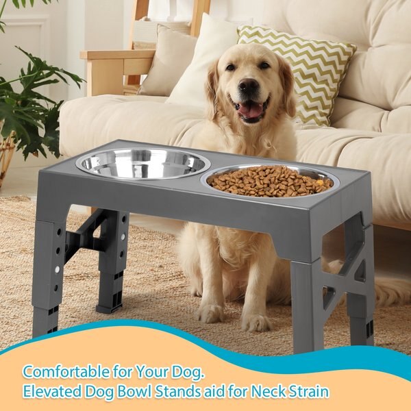 Niubya Elevated Dog Bowl Set, 5-cup