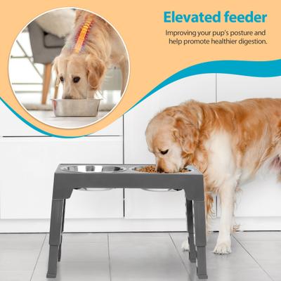 Show full view: Niubya Elevated Dog Bowl Set, 5-cup, Grey slide 6 of 8