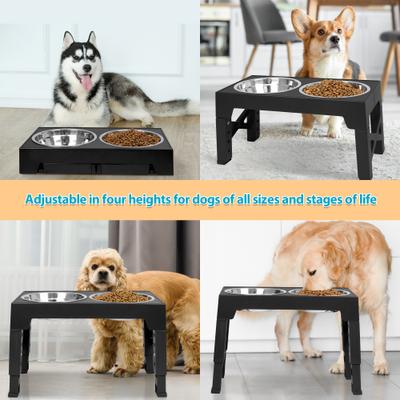 Show full view: Niubya Elevated Dog Bowl Set, 5-cup, Black slide 4 of 7