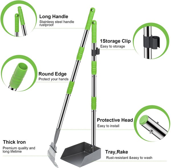Show full view: Niubya Dog Stainless Steel Rake Pooper Scooper Set, Silver & Green slide 2 of 8