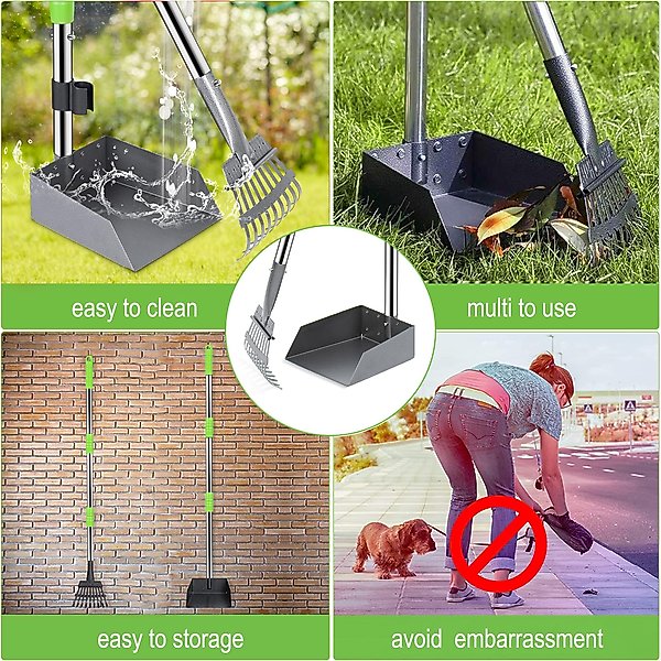 Show full view: Niubya Dog Stainless Steel Rake Pooper Scooper Set, Silver & Green slide 5 of 8
