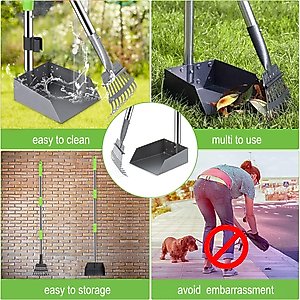 Niubya Dog Stainless Steel Rake Pooper Scooper Set, Silver & Green