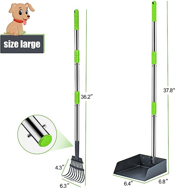 Show full view: Niubya Dog Stainless Steel Rake Pooper Scooper Set, Silver & Green slide 3 of 8
