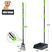 Show in main carousel: Niubya Dog Stainless Steel Rake Pooper Scooper Set, Silver & Green slide 3 of 8