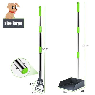Show full view: Niubya Dog Stainless Steel Rake Pooper Scooper Set, Silver & Green slide 3 of 8