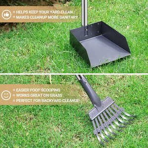 Niubya Dog Stainless Steel Rake Pooper Scooper Set, Black & Orange