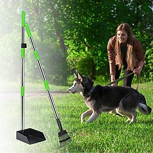 Niubya Dog Stainless Steel Rake Pooper Scooper Set, Silver & Green