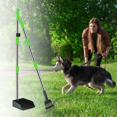 Show full view: Niubya Dog Stainless Steel Rake Pooper Scooper Set, Silver & Green slide 4 of 8