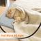 Show in main carousel: Heeyoo Dog & Cat Heating Pad with Removable Cover, Grey, Small slide 5 of 11