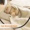 Show in main carousel: Heeyoo Dog & Cat Heating Pad with Removable Cover, Beige, Small slide 7 of 12